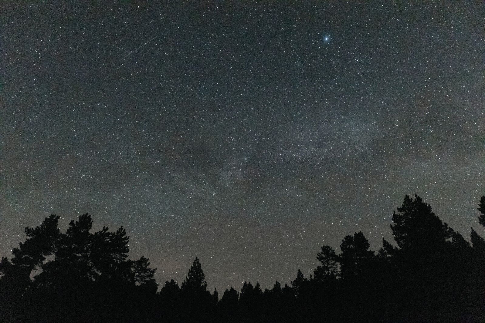 Via Làctia brillant al cel nocturn amb siluetes d’arbres al fons, fotografia feta a Tuixent la Vansa. Pirineus catalans.
