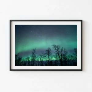 Aurora boreal