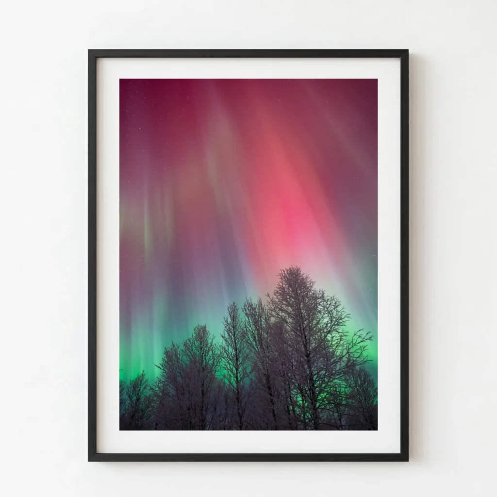 Aurora vermella