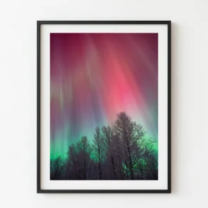 Aurora vermella