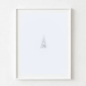 Arbre solitari