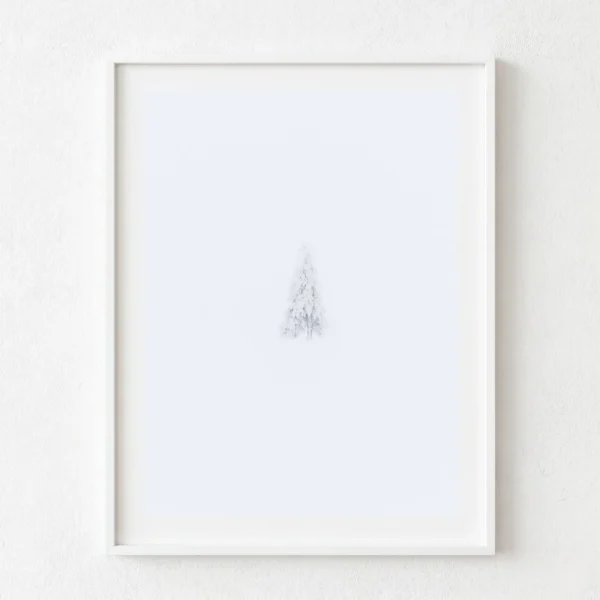 Arbre solitari