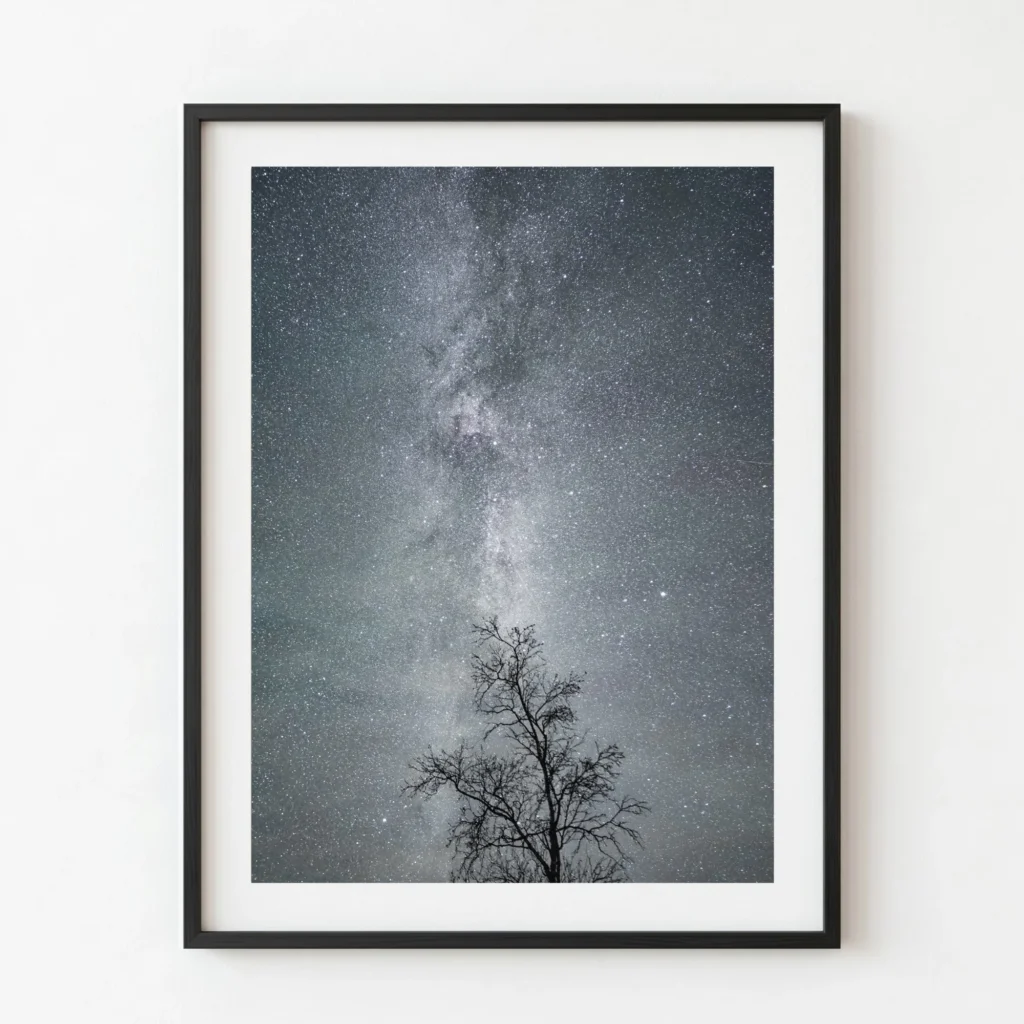 Camí d'estrelles