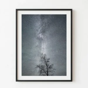 Camí d'estrelles