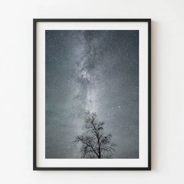 Camí d'estrelles